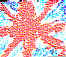 unionjack.JPG (28803 byte)